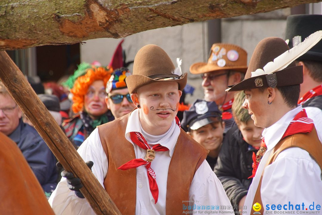 Narrenbaumstellen: Stockach am Bodensee, 23.02.2017