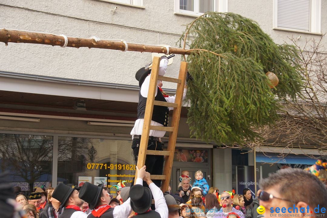 Narrenbaumstellen: Stockach am Bodensee, 23.02.2017