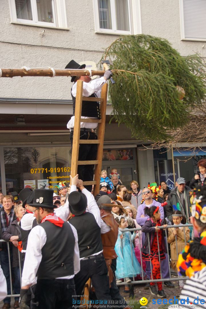 Narrenbaumstellen: Stockach am Bodensee, 23.02.2017