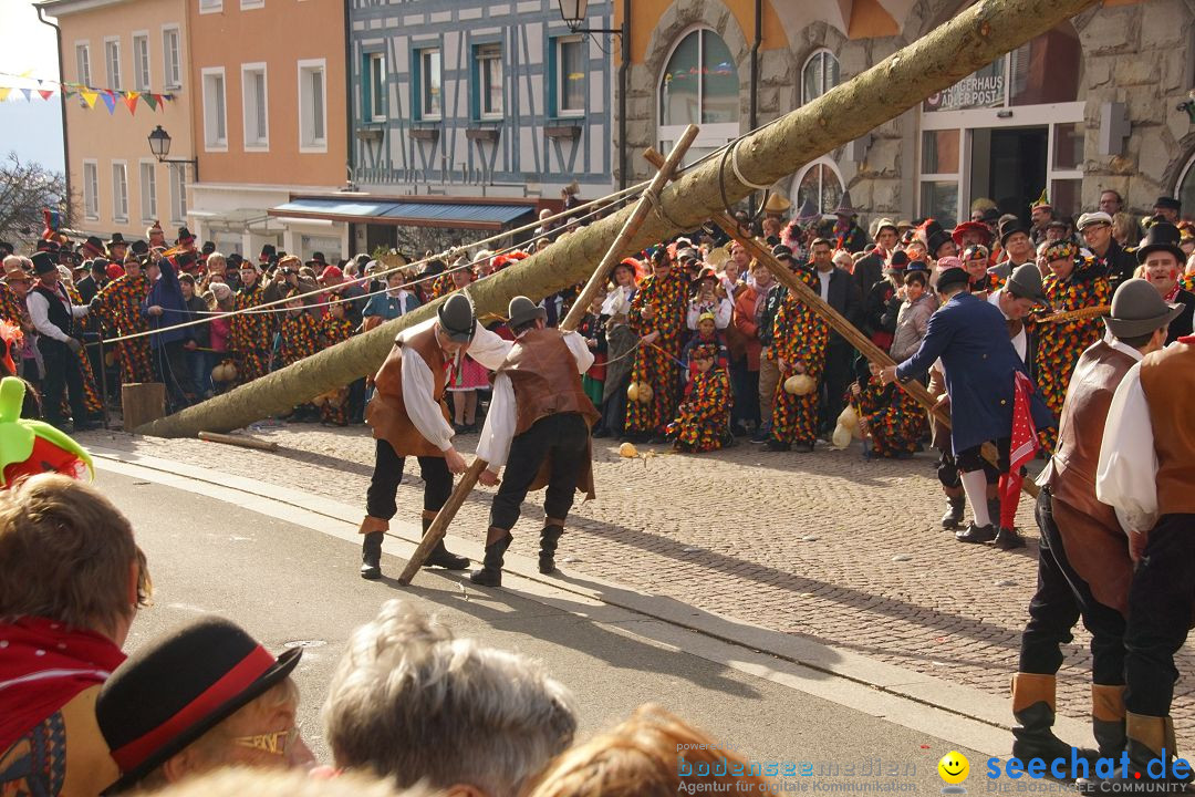 Narrenbaumstellen: Stockach am Bodensee, 23.02.2017