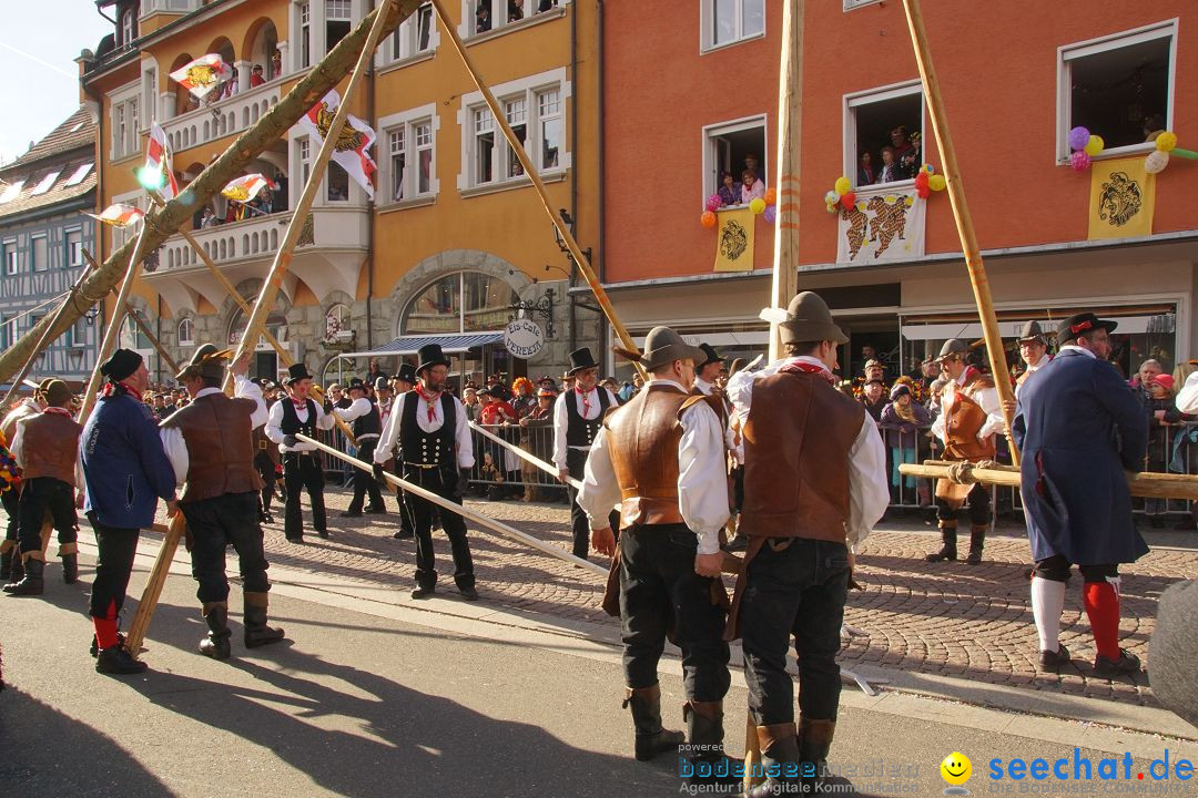 Narrenbaumstellen: Stockach am Bodensee, 23.02.2017