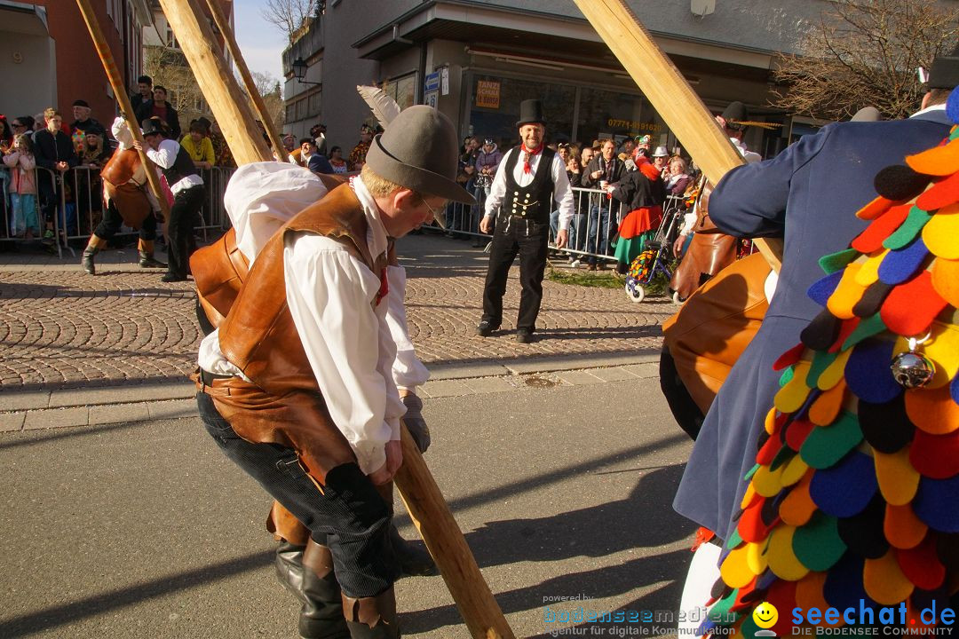 Narrenbaumstellen: Stockach am Bodensee, 23.02.2017