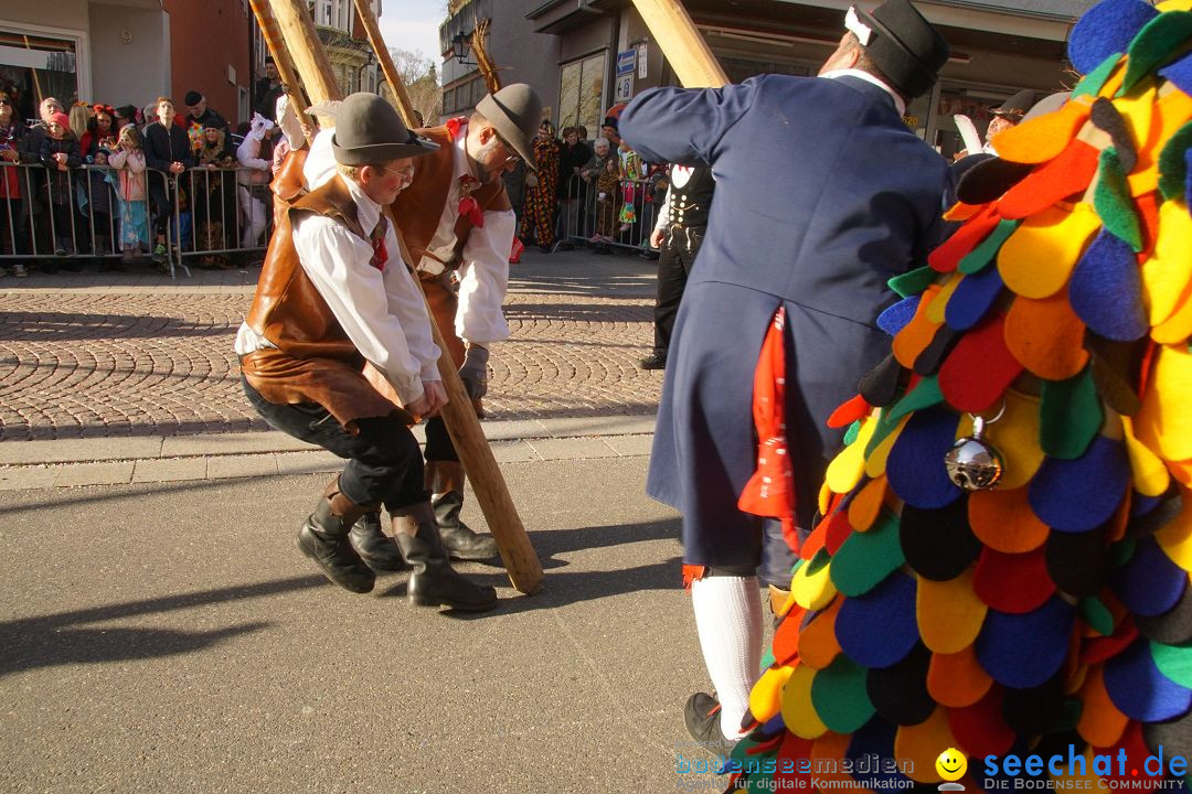 Narrenbaumstellen: Stockach am Bodensee, 23.02.2017