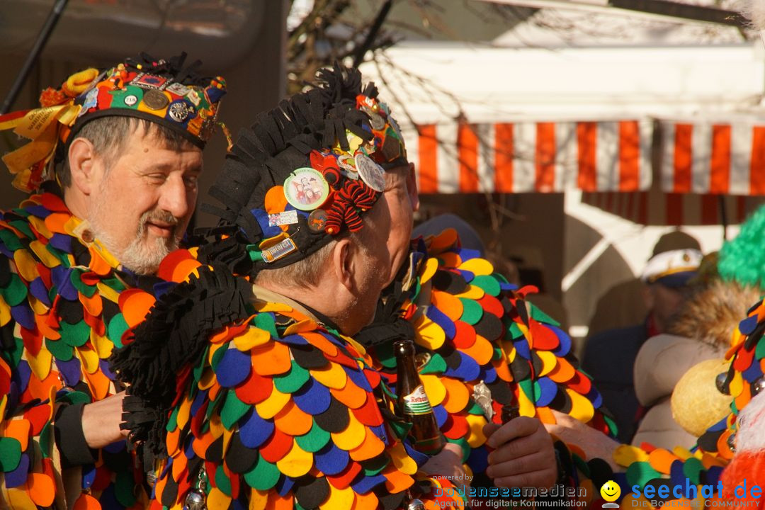 Narrenbaumstellen: Stockach am Bodensee, 23.02.2017