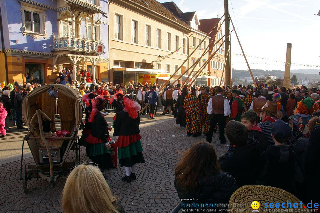 Narrenbaumstellen: Stockach am Bodensee, 23.02.2017