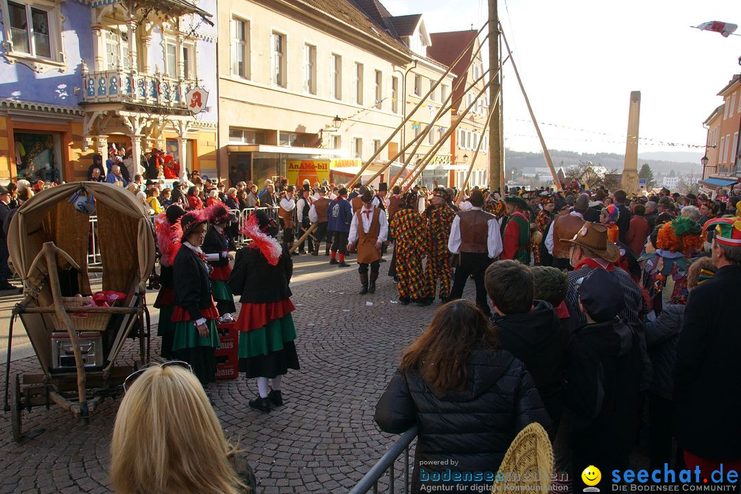 Narrenbaumstellen: Stockach am Bodensee, 23.02.2017