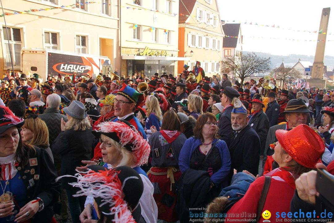 Narrenbaumstellen: Stockach am Bodensee, 23.02.2017