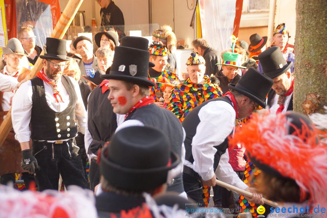 Narrenbaumstellen: Stockach am Bodensee, 23.02.2017