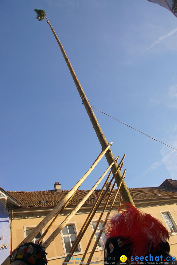 Narrenbaumstellen: Stockach am Bodensee, 23.02.2017