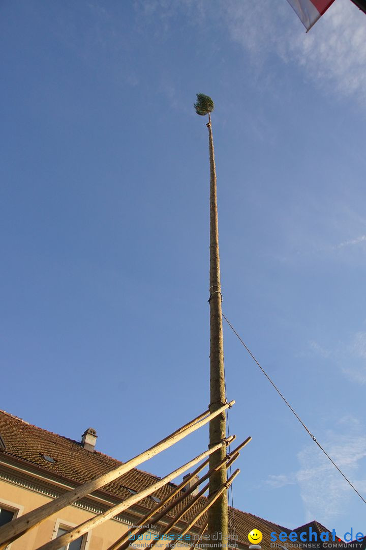 Narrenbaumstellen: Stockach am Bodensee, 23.02.2017