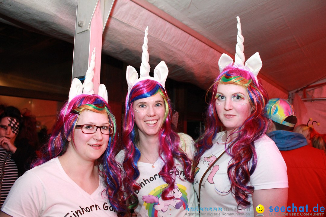 STIERBALL 2017: Party-Band HEAVEN: Wahlwies am Bodensee, 24.02.2017