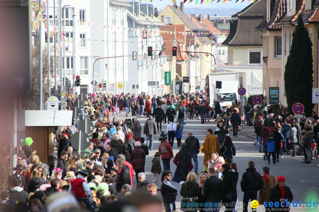 Narrenumzug: Friedrichshafen am Bodensee, 25.02.2017