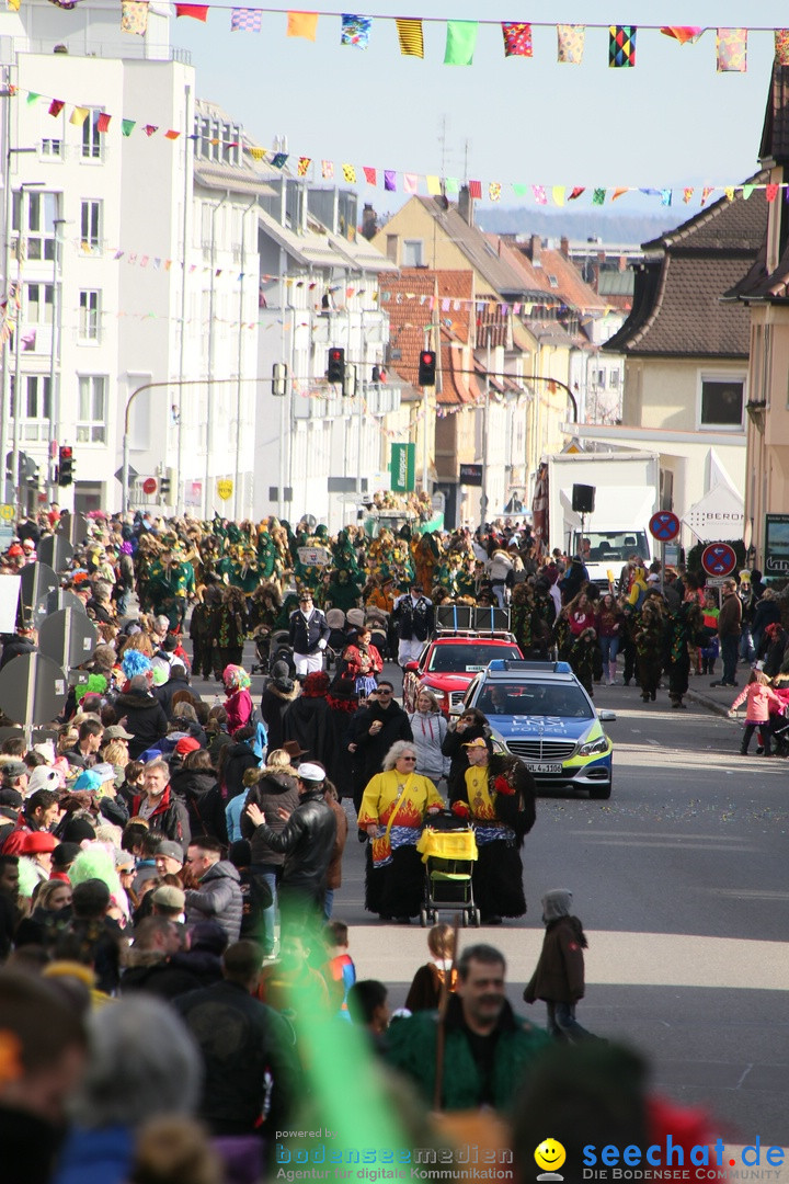 Narrenumzug: Friedrichshafen am Bodensee, 25.02.2017