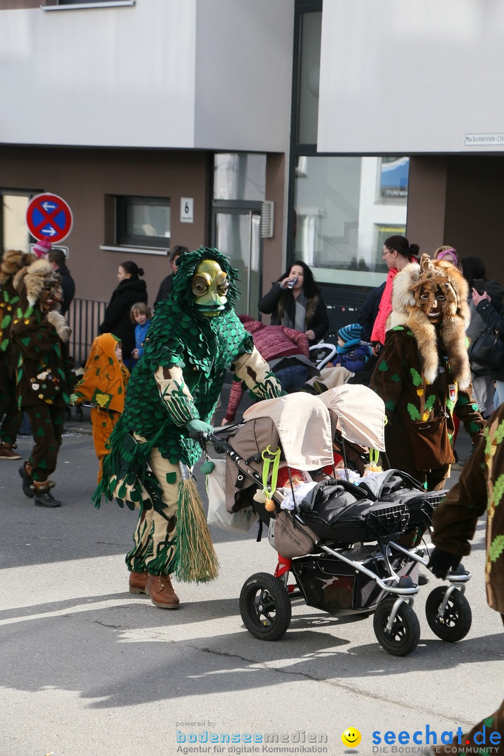 Narrenumzug: Friedrichshafen am Bodensee, 25.02.2017