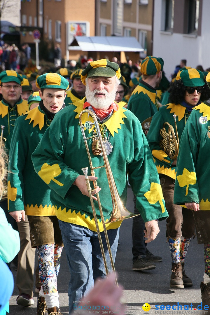 Narrenumzug: Friedrichshafen am Bodensee, 25.02.2017