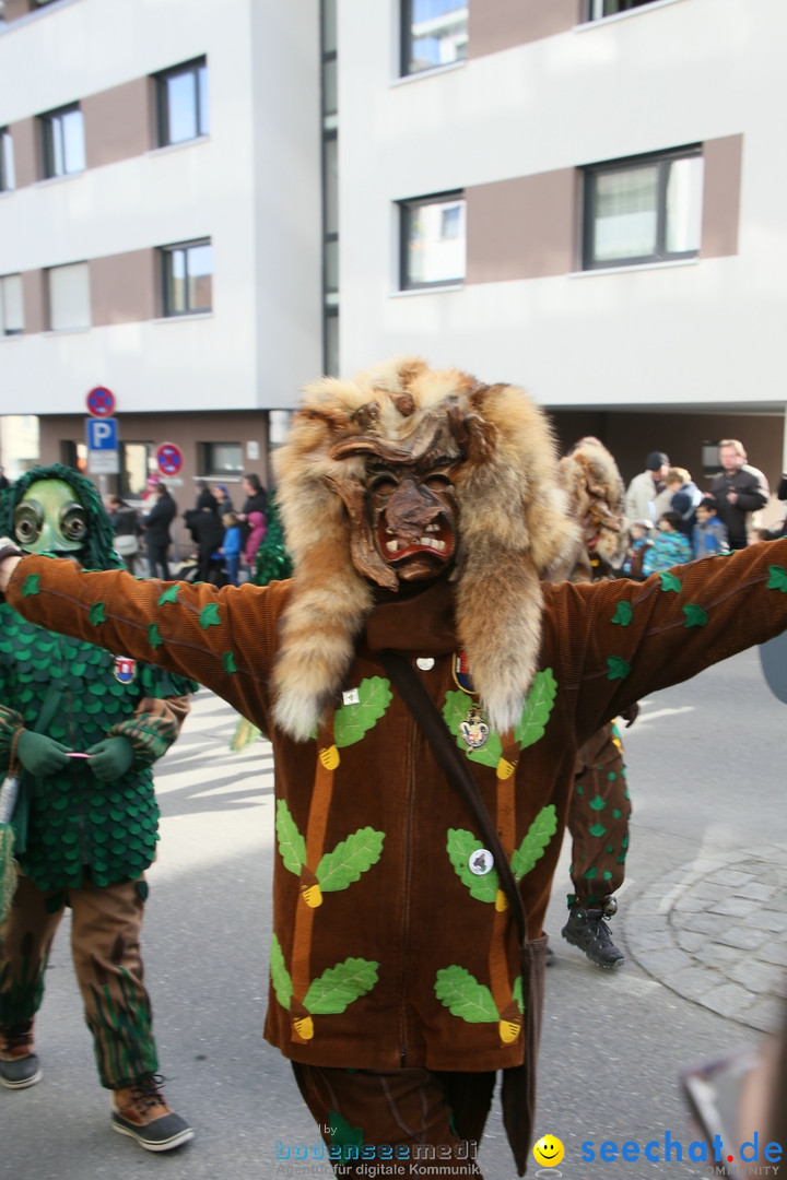 Narrenumzug: Friedrichshafen am Bodensee, 25.02.2017