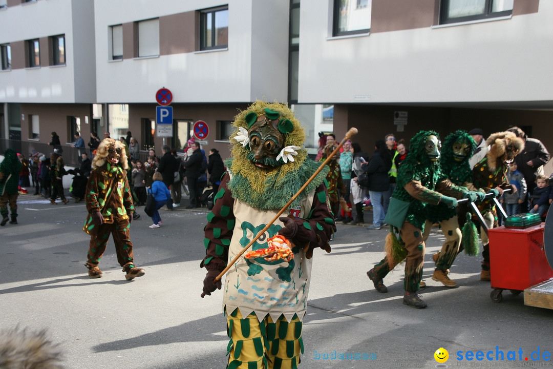 Narrenumzug: Friedrichshafen am Bodensee, 25.02.2017