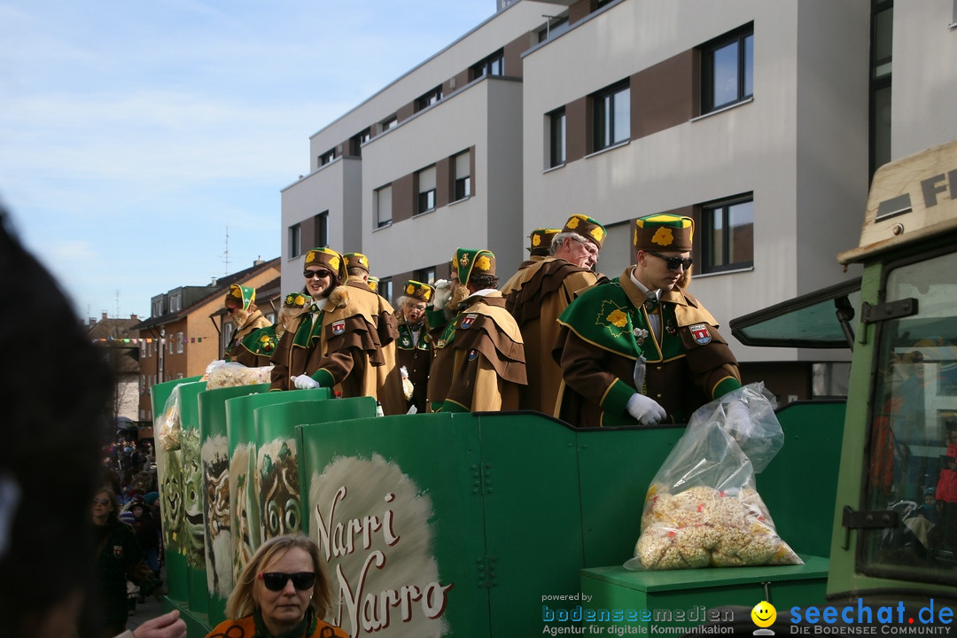 Narrenumzug: Friedrichshafen am Bodensee, 25.02.2017