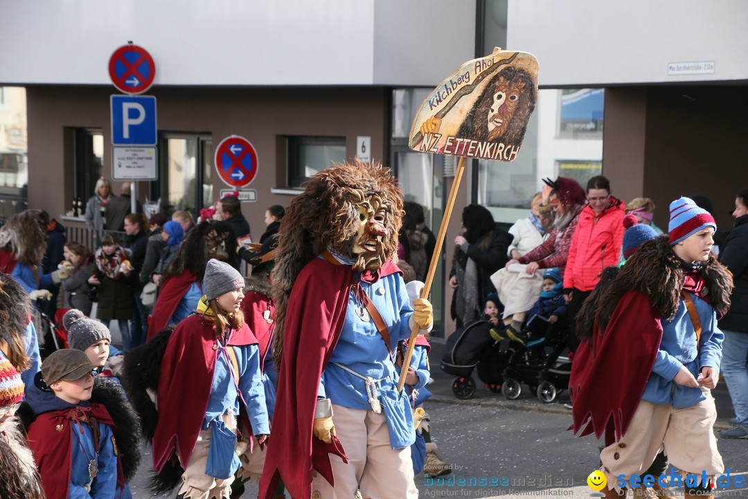 Narrenumzug: Friedrichshafen am Bodensee, 25.02.2017