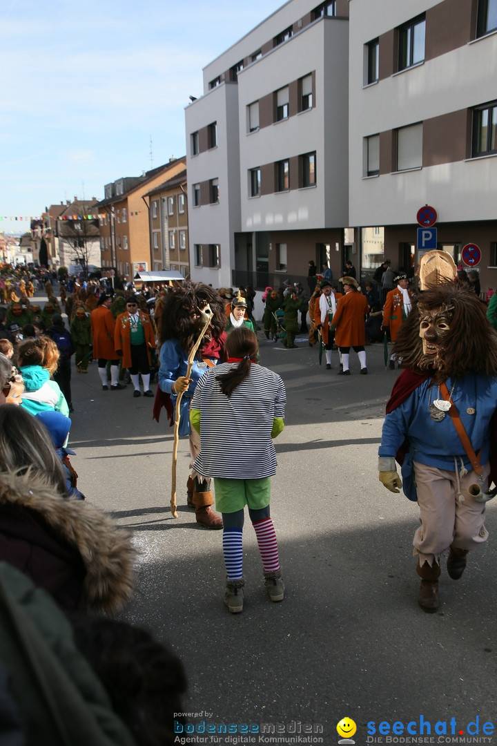 Narrenumzug: Friedrichshafen am Bodensee, 25.02.2017