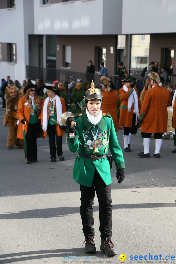 Narrenumzug: Friedrichshafen am Bodensee, 25.02.2017