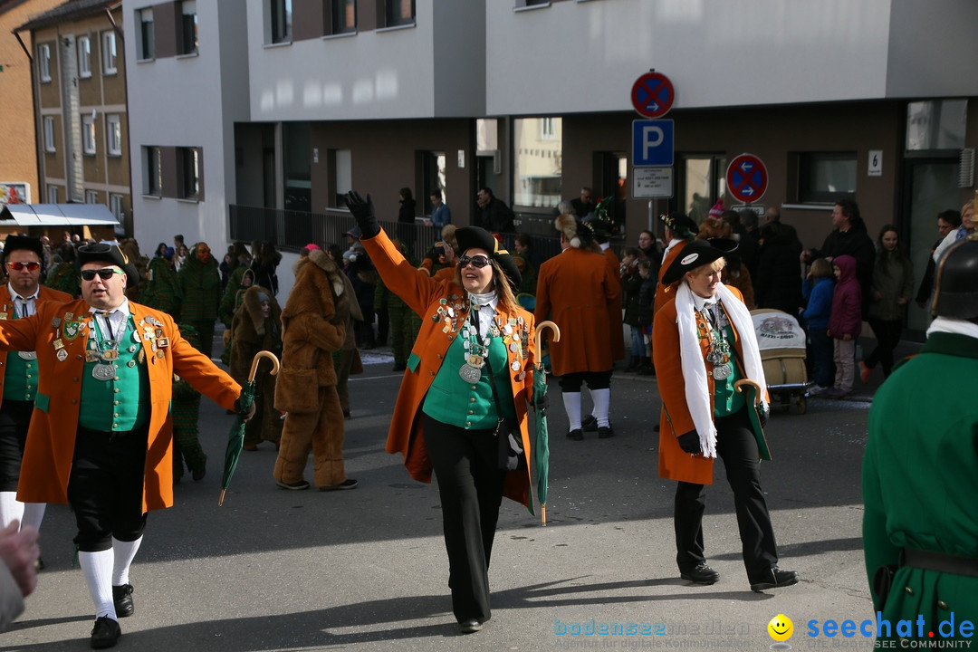 Narrenumzug: Friedrichshafen am Bodensee, 25.02.2017