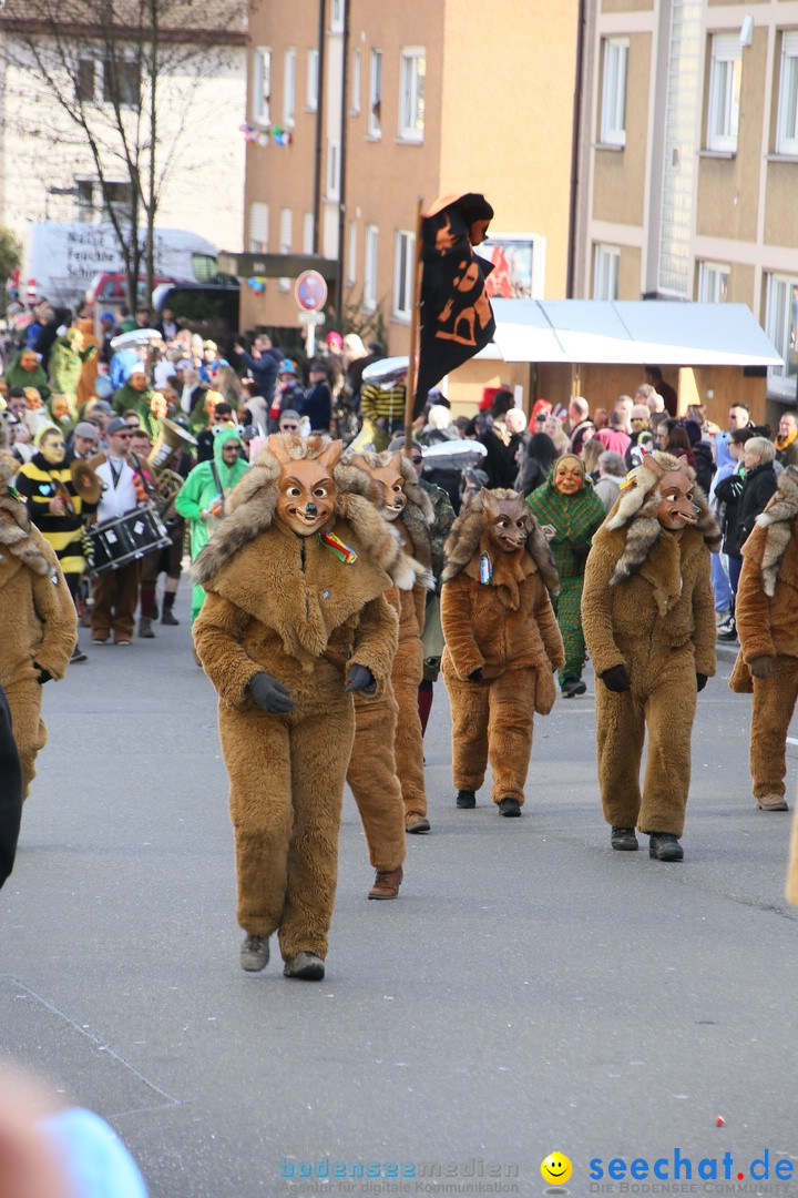 Narrenumzug: Friedrichshafen am Bodensee, 25.02.2017