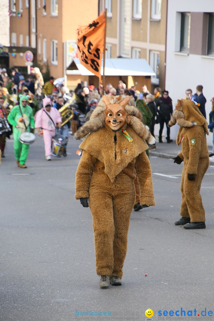 Narrenumzug: Friedrichshafen am Bodensee, 25.02.2017