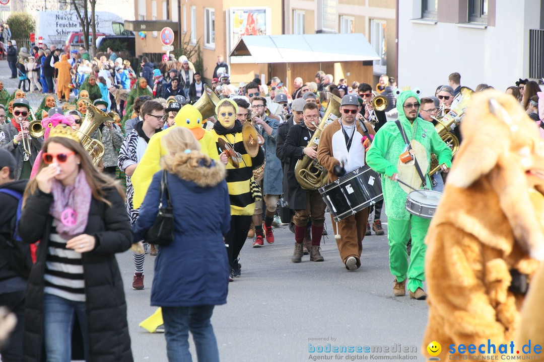 Narrenumzug: Friedrichshafen am Bodensee, 25.02.2017