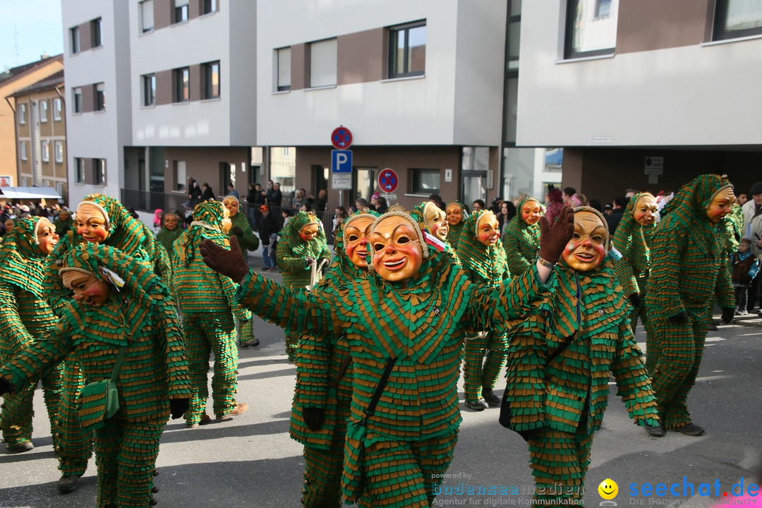 Narrenumzug: Friedrichshafen am Bodensee, 25.02.2017