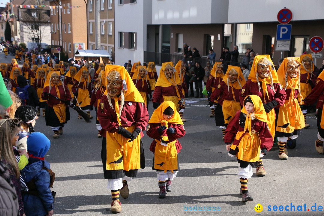 Narrenumzug: Friedrichshafen am Bodensee, 25.02.2017