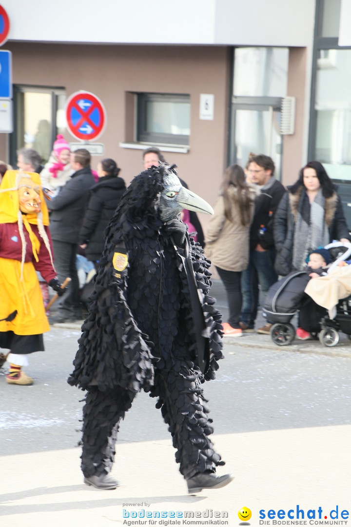 Narrenumzug: Friedrichshafen am Bodensee, 25.02.2017