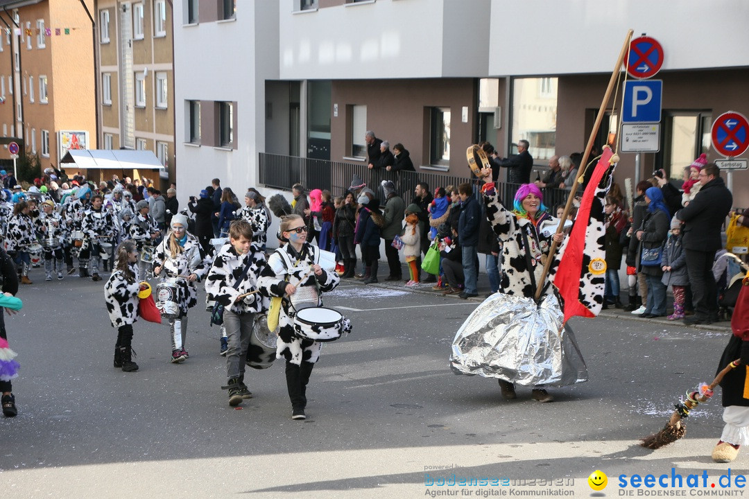 Narrenumzug: Friedrichshafen am Bodensee, 25.02.2017