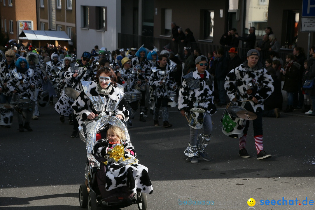 Narrenumzug: Friedrichshafen am Bodensee, 25.02.2017