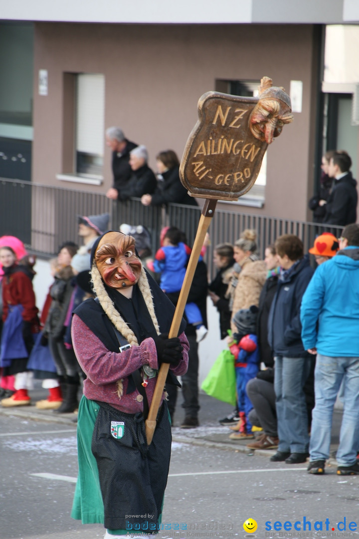 Narrenumzug: Friedrichshafen am Bodensee, 25.02.2017