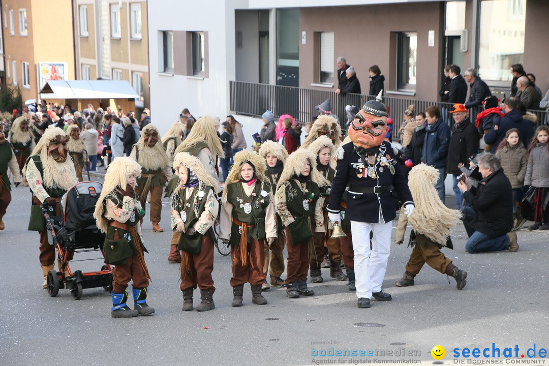 Narrenumzug: Friedrichshafen am Bodensee, 25.02.2017