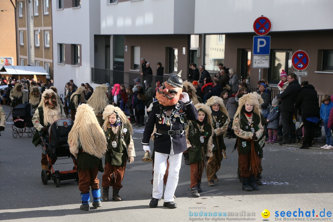 Narrenumzug: Friedrichshafen am Bodensee, 25.02.2017