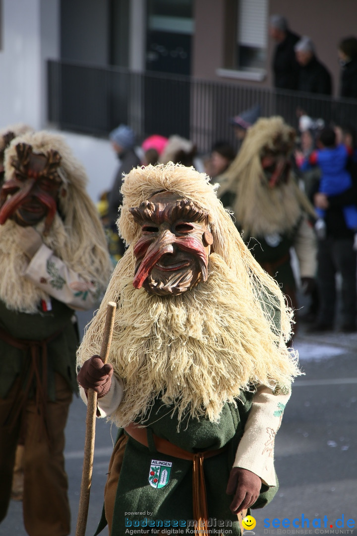 Narrenumzug: Friedrichshafen am Bodensee, 25.02.2017