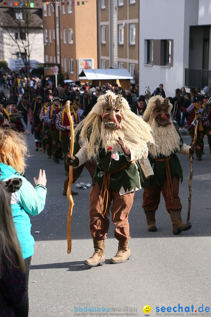 Narrenumzug: Friedrichshafen am Bodensee, 25.02.2017