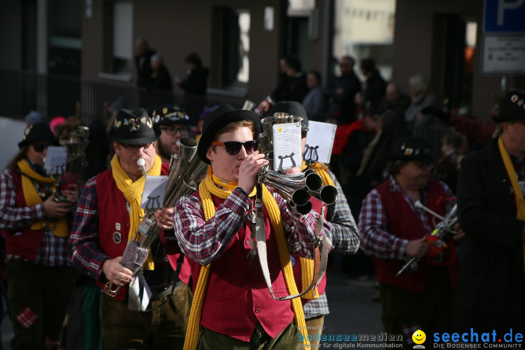 Narrenumzug: Friedrichshafen am Bodensee, 25.02.2017