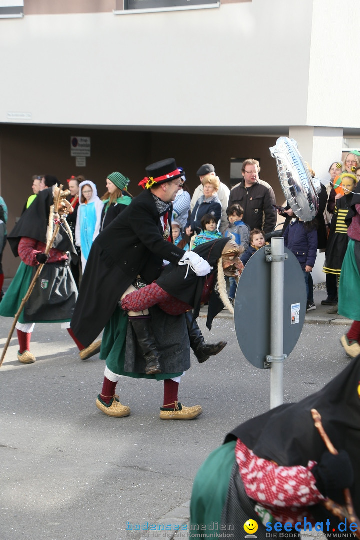 Narrenumzug: Friedrichshafen am Bodensee, 25.02.2017