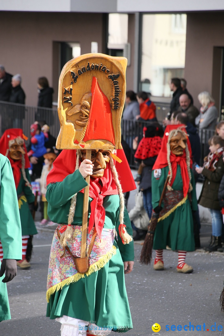 Narrenumzug: Friedrichshafen am Bodensee, 25.02.2017