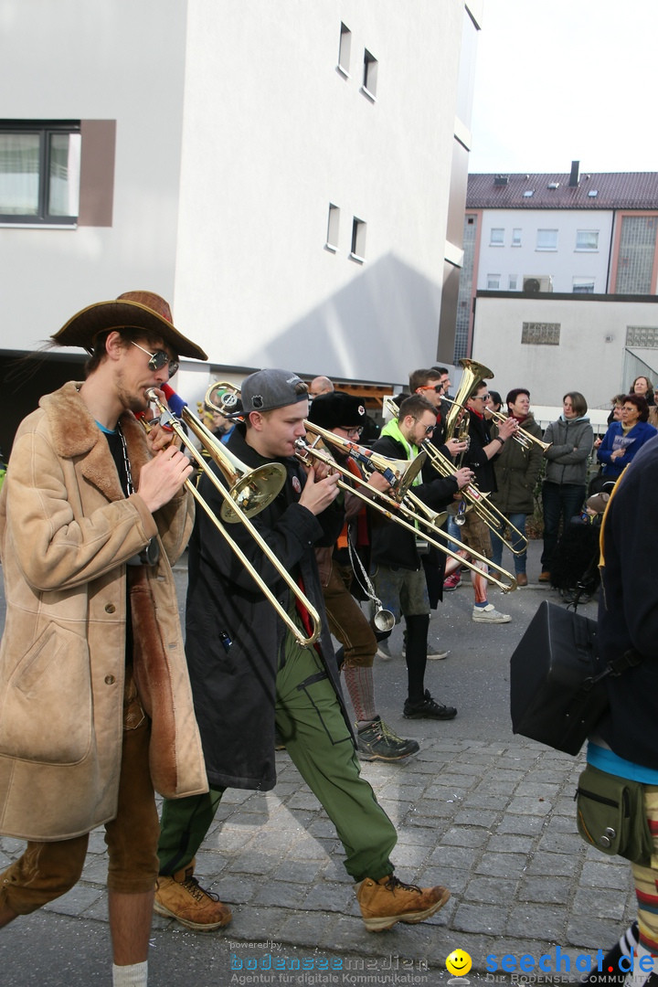 Narrenumzug: Friedrichshafen am Bodensee, 25.02.2017