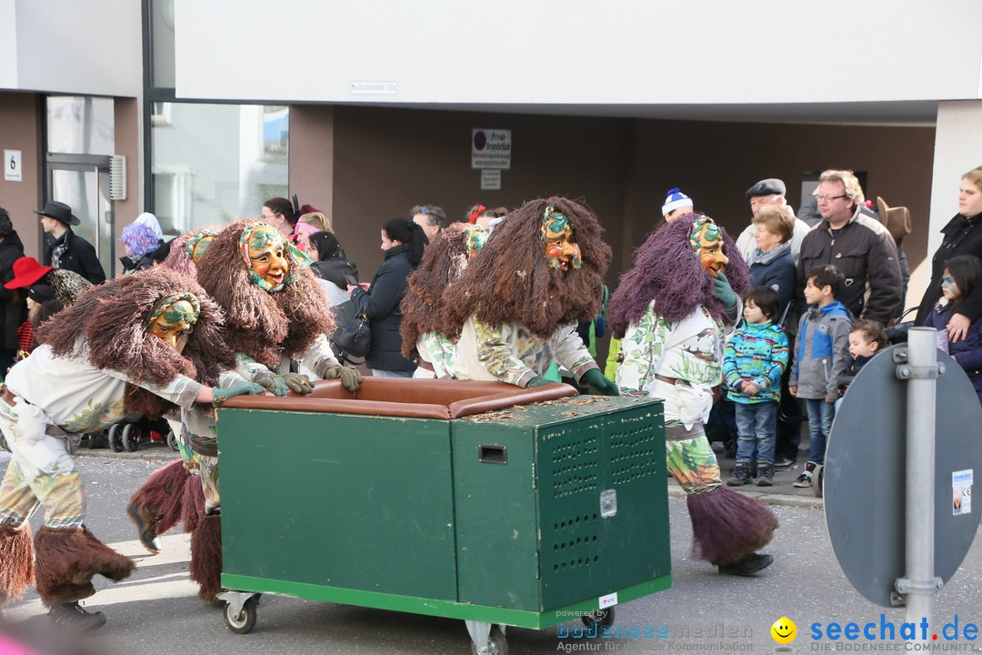 Narrenumzug: Friedrichshafen am Bodensee, 25.02.2017