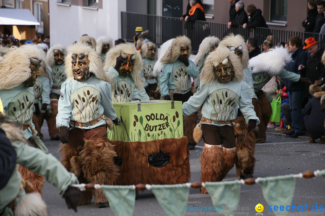 Narrenumzug: Friedrichshafen am Bodensee, 25.02.2017