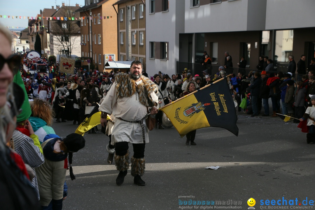 Narrenumzug: Friedrichshafen am Bodensee, 25.02.2017