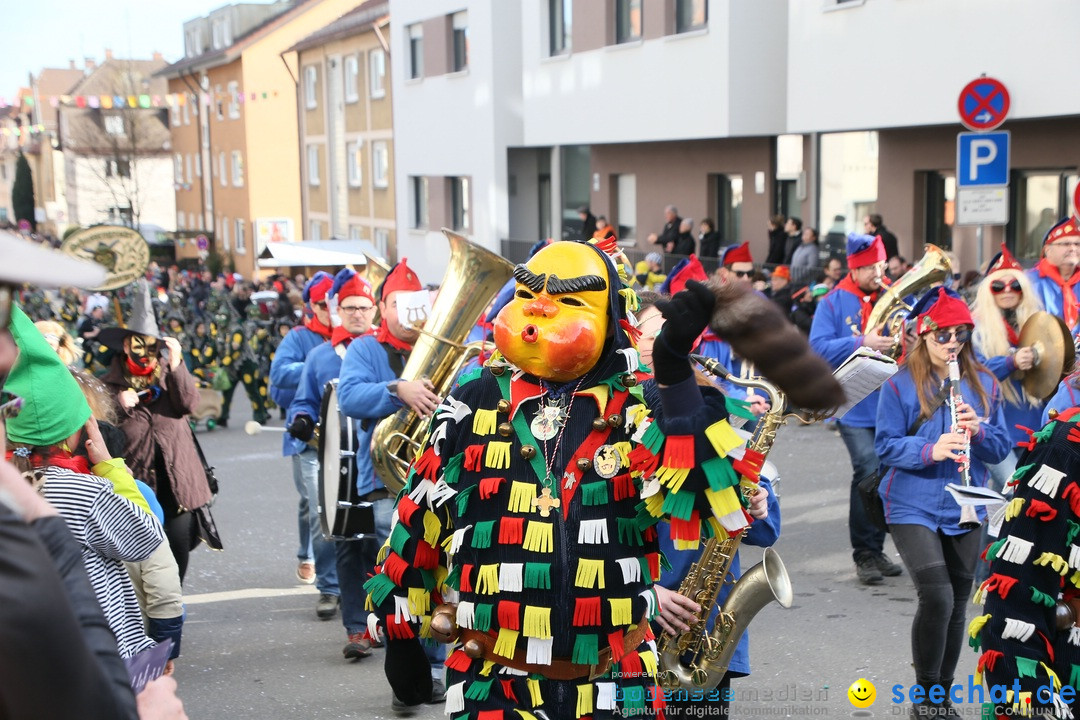 Narrenumzug: Friedrichshafen am Bodensee, 25.02.2017