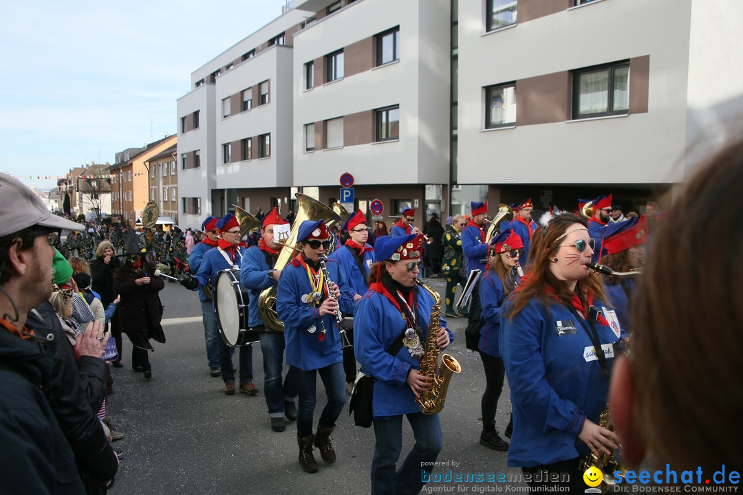 Narrenumzug: Friedrichshafen am Bodensee, 25.02.2017