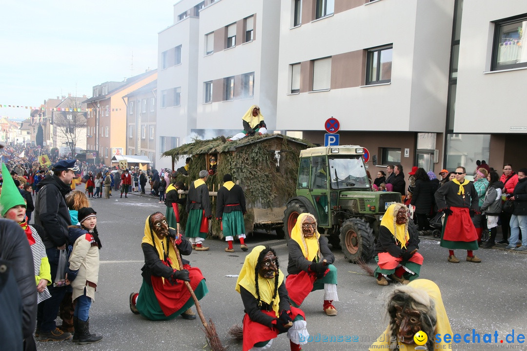 Narrenumzug: Friedrichshafen am Bodensee, 25.02.2017