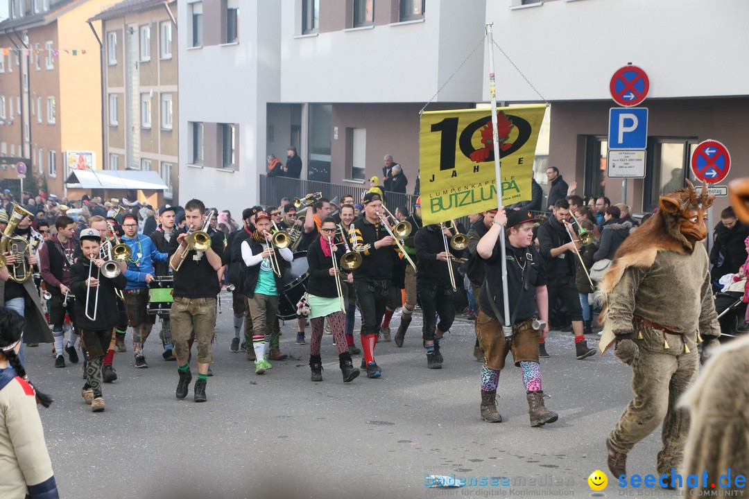 Narrenumzug: Friedrichshafen am Bodensee, 25.02.2017